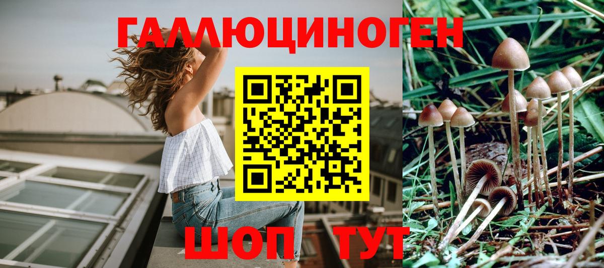 Псилоцибиновые грибы Cubensis  что такое наркотик  Вышний Волочёк  Вход с VPN 